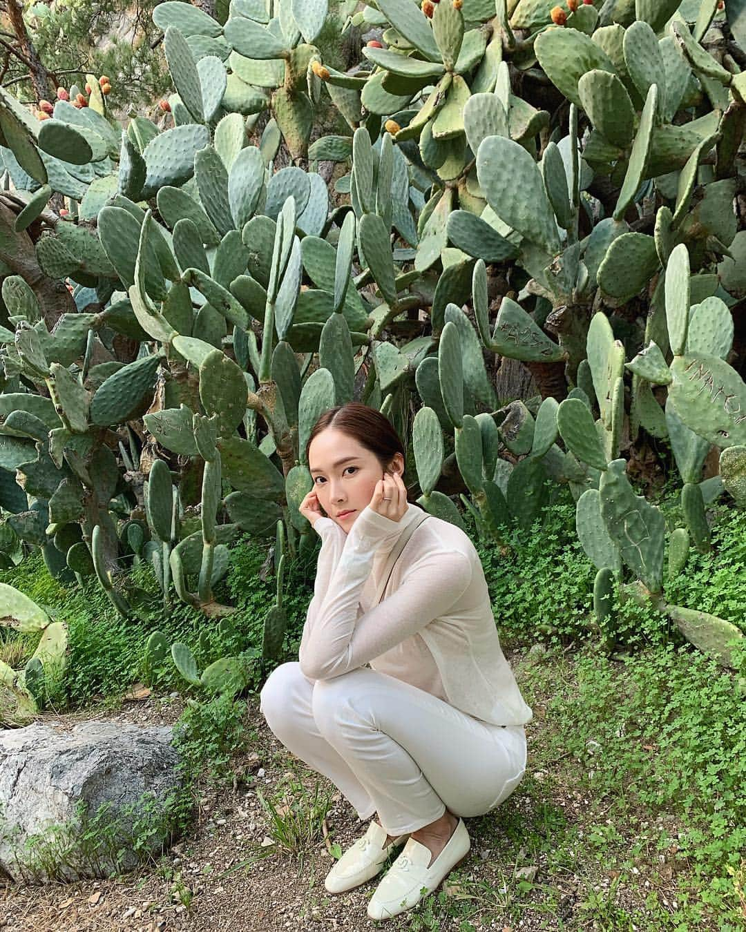 ジェシカ さんのインスタグラム写真 - (ジェシカ Instagram)「No shortage of cacti here🌵✨」4月25日 22時58分 - jessica.syj