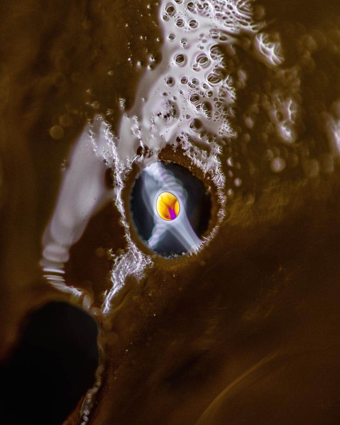 アンジー・ペインさんのインスタグラム写真 - (アンジー・ペインInstagram)「Alien egg. Crazy things happen when light meets water. • • • • • #macro #macrophotography」4月25日 23時05分 - angelajpayne