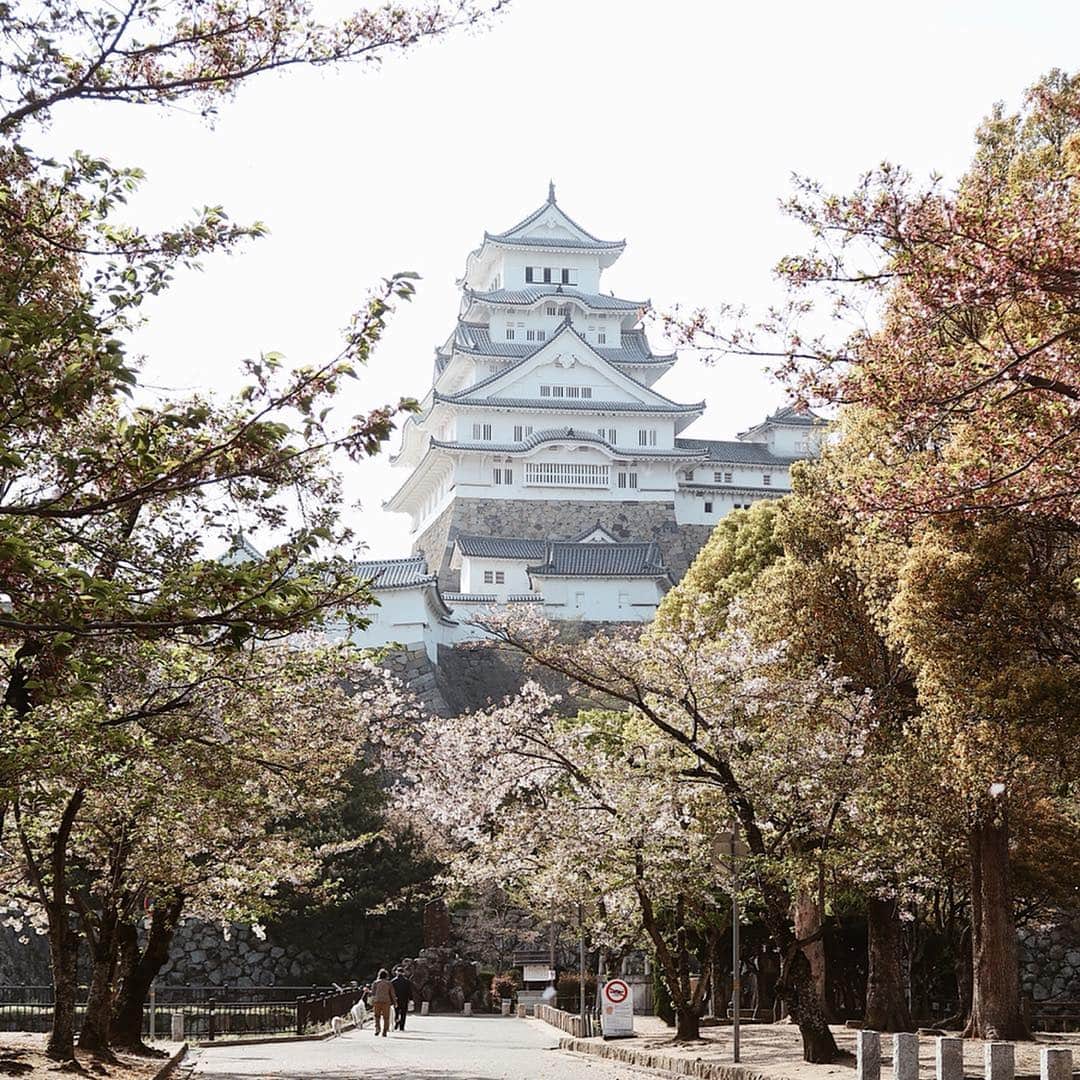 urakoさんのインスタグラム写真 - (urakoInstagram)「. 姫路城🏯🌿 久しぶりに見たけど やはり美しい。 . また改めて ゆっくりお散歩しに行きたいな。 . . 2枚目は この日のお相手 @yuiram と。 . . #姫路城 #姫路市立美術館 #白鷺城 #国宝 #世界文化遺産」4月25日 23時34分 - urako0618