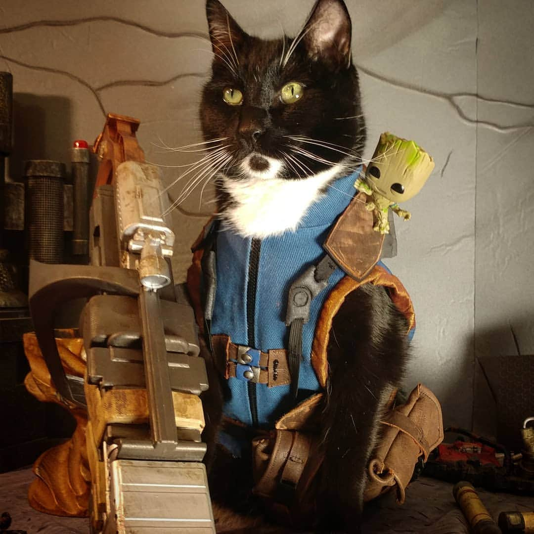 猫コスプレさんのインスタグラム写真 - (猫コスプレInstagram)「Whatever it takes... ...get that arm.  #AvengersEndgame #RocketRaccoon . . . . . . . . . . #avengers #rocket #avengerscosplay #RocketRaccoonCosplay #CatCosplay #cosplay #marvel #mcu #marvelcosplayer #marvelcinematicuniverse #gotg #guardiansofthegalaxy」4月26日 0時07分 - cat_cosplay