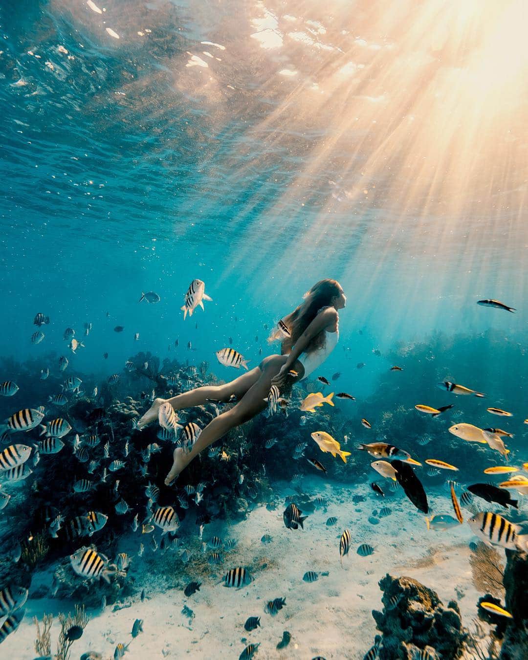 サシャ・カリスさんのインスタグラム写真 - (サシャ・カリスInstagram)「“Every time I slip into the ocean, it's like going home.” -Sylvia Earle 📸 @elenakalis」4月26日 0時15分 - _bahamasgirl_