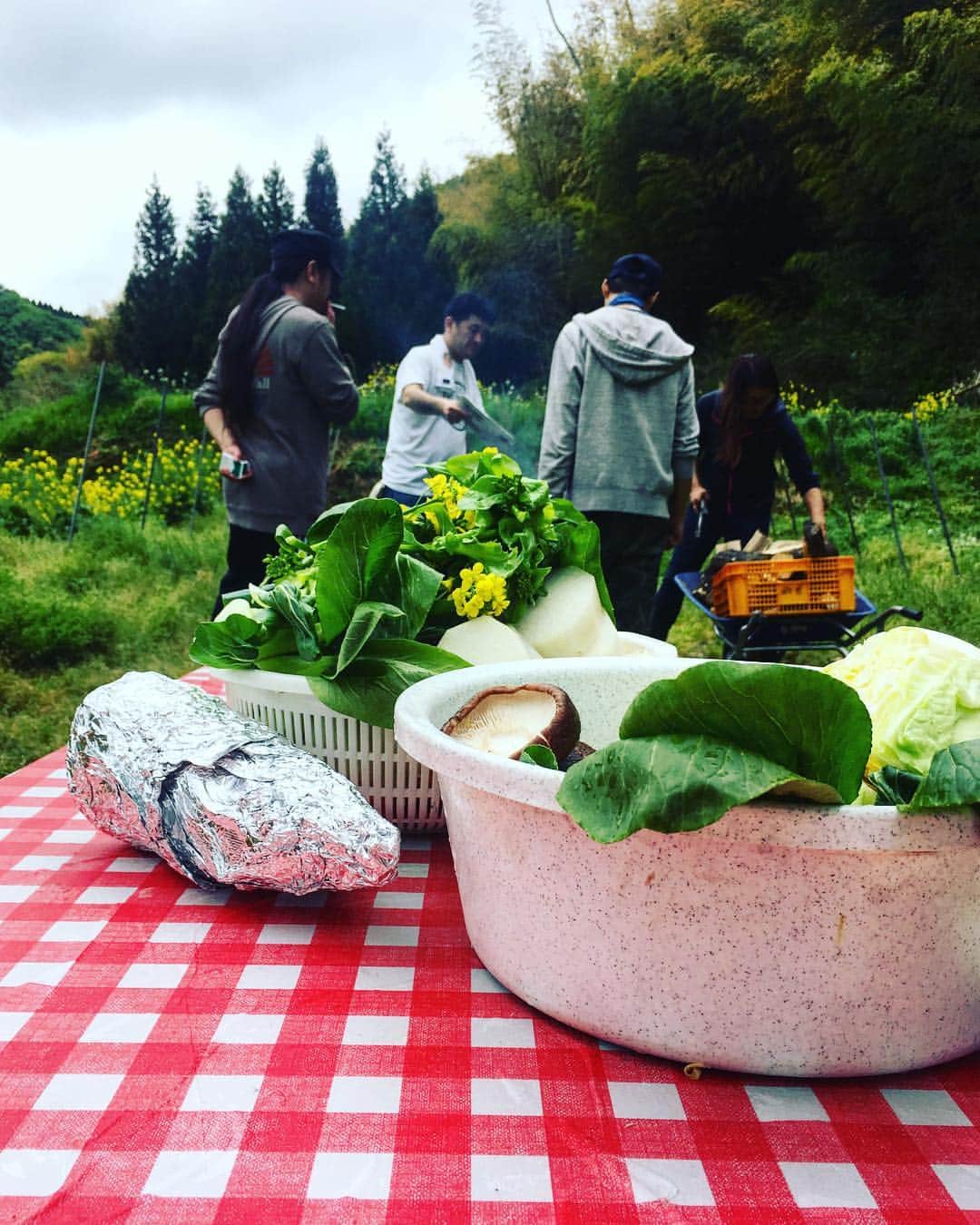 のインスタグラム：「タケノコ掘って近辺の葉をちぎって目かっぴらき瞬きゼロ焼き」