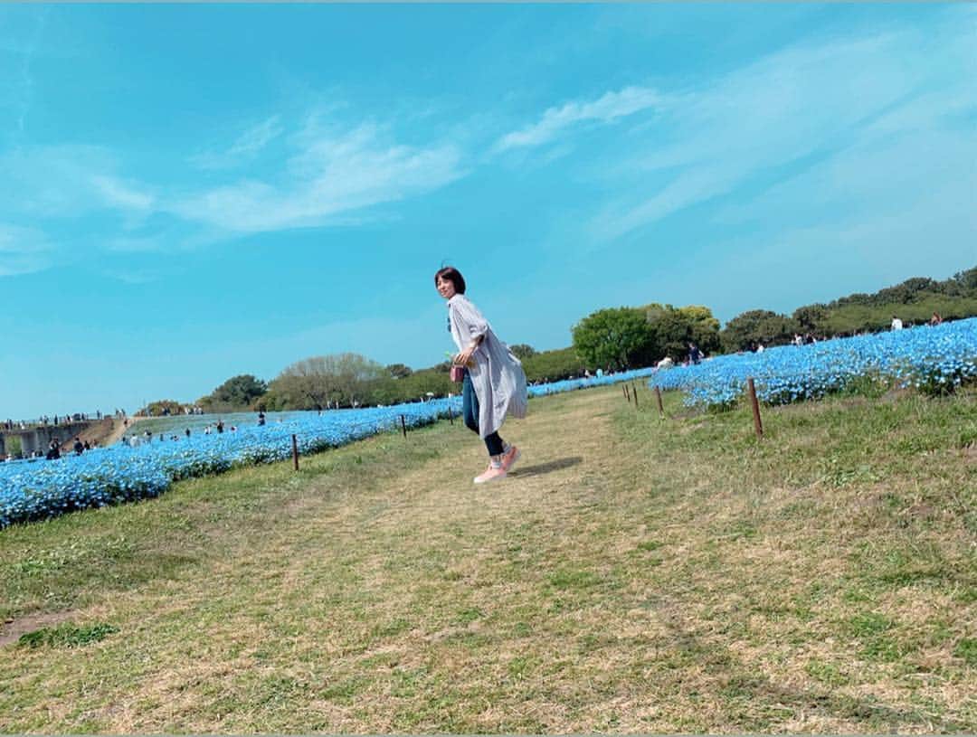 足立かりんさんのインスタグラム写真 - (足立かりんInstagram)「💙💙💙💙💙 #キムちが行きたがってたお花畑 #この時期だけしか見れない #広大な土地いっぱいのブルー #めちゃめちゃ綺麗やんけー #テンション上がりすぎて #自然とスキップしてた #29歳独身女 #やばいやばい #福岡 #海の中道海浜公園 #ネモフィラ #ネモフィラ畑 #福岡観光 #fukuoka」4月26日 12時00分 - karinadachi