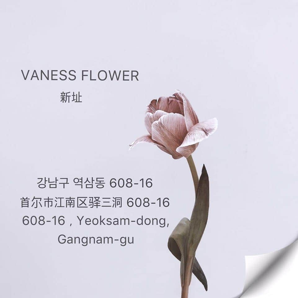 플로리스트 이주연 florist Lee Ju Yeonさんのインスタグラム写真 - (플로리스트 이주연 florist Lee Ju YeonInstagram)「. . ✨바네스플라워 샾이전 안내 ✨ ✨vanessflower moving address✨ ✨vanessflower 搬家 ✨  강남구 역삼동 608-16 번지 1층 단독주택 Korea Seoul Gangnam-gu Yeoksam-dong,608-16 . . 02-545-6813  Katalk ID vaness52  WeChat ID vaness_flower」4月26日 11時58分 - vanessflower