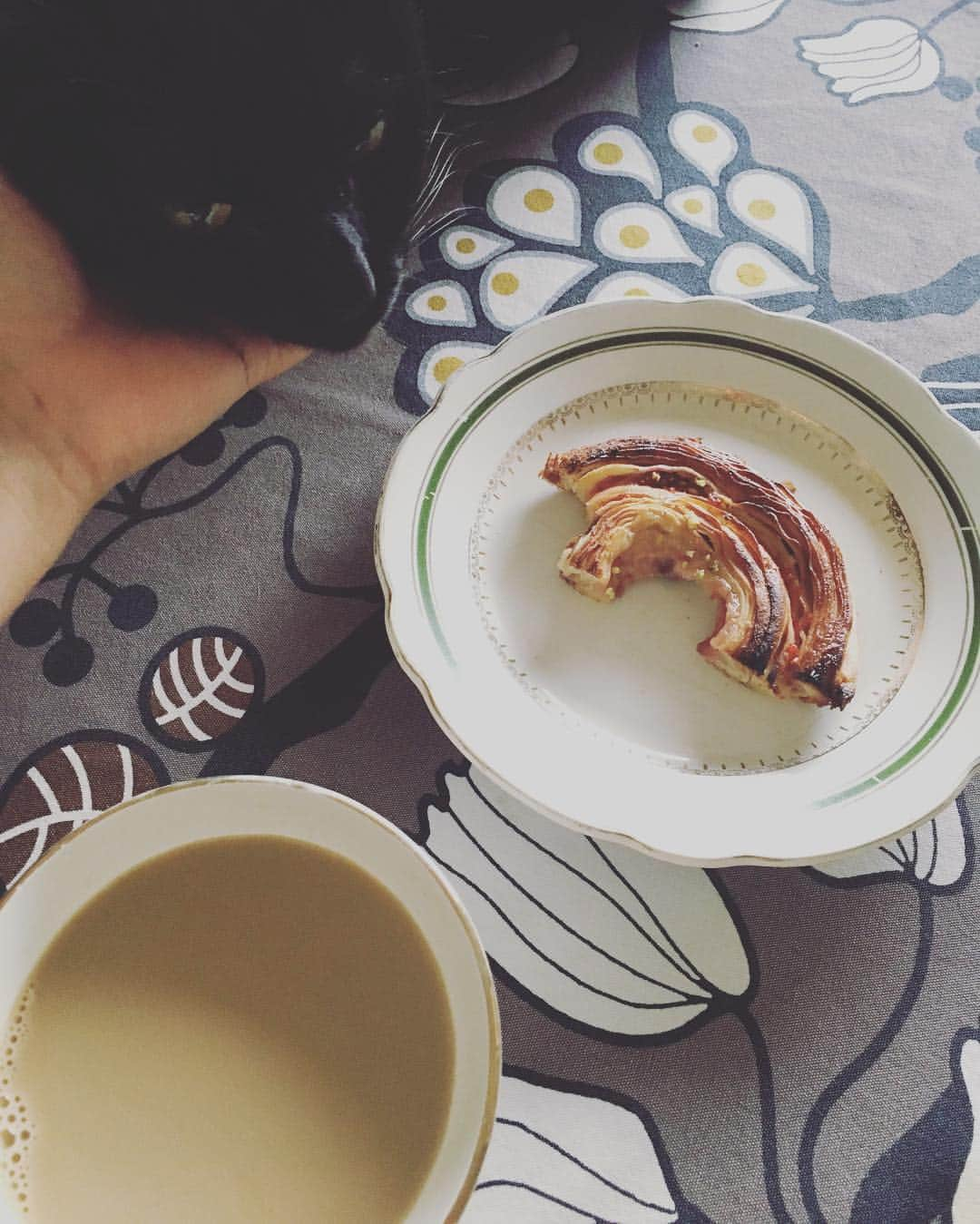 猫沢エミさんのインスタグラム写真 - (猫沢エミInstagram)「@boulangerie.comete の苺のエスカルゴを食していたら、ピガ兄が珍しくテーブルにのって甘えてきた朝。  それを少し離れたところで、やきもち妬きながら眺める坊。  母はしあわせ🥰  #ピガ兄」4月26日 10時33分 - necozawaemi