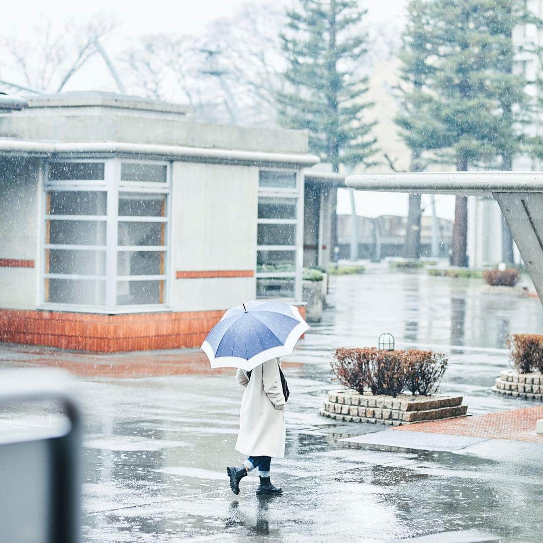 Meiji Gakuin/明治学院大学/明学さんのインスタグラム写真 - (Meiji Gakuin/明治学院大学/明学Instagram)「この雨があがれば、すぐにゴールデンウィーク。4月を突っ走ってきた人も、一息つけますね。  #雨 #傘 #春 #大学 #明学 #学生 #カメラ #明治学院大学 #meijigakuin #university #camera #rain #umbrella #spring #japan #good #instagood #instalike #best #promotions」4月26日 10時44分 - mguniv