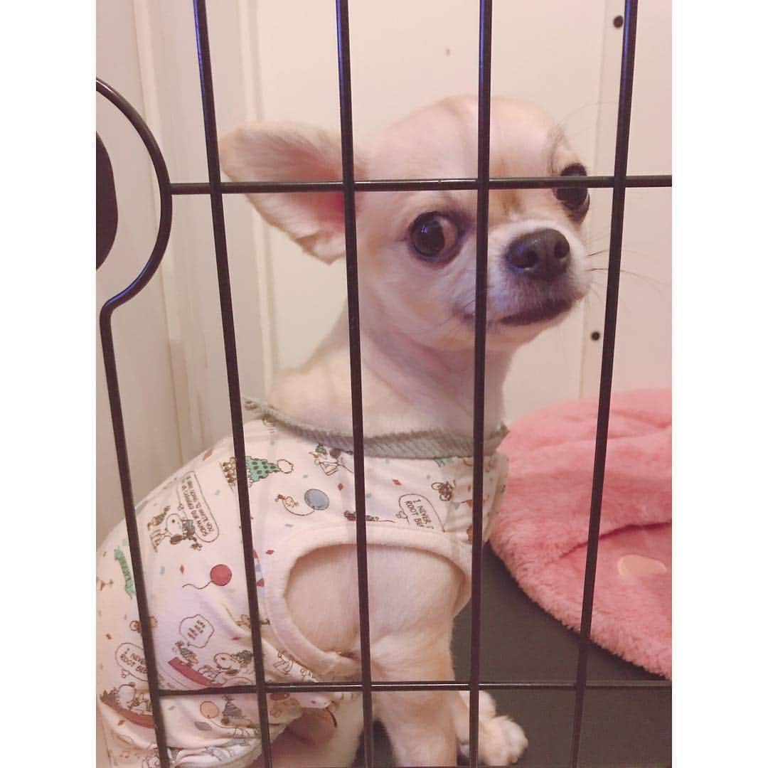 有明ゆなのインスタグラム