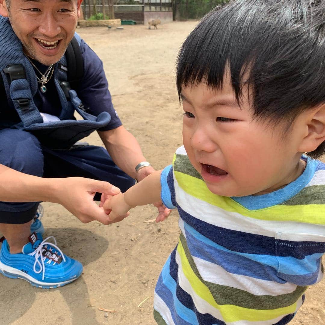 藤田志穂さんのインスタグラム写真 - (藤田志穂Instagram)「明日から10連休。。。 ・ 旦那さんもちょこちょこ仕事が入っているので、全くのノープラン😂 ・ どこ行くのも混んでたり高かったりするだろうし、息子は自由に歩き回りたいし。。。 ・ この時期ってどこに行くのが良いんだろうか🤔 ・ 来年には事前に計画立てたりするのかな🤔 ・ 涙のサユリワールドデビューの写真は見事に泣き顔だらけ😂 ・ #GW #はじまる #サユリワールド #涙のデビュー #1歳5ヶ月 #男の子ママ #ふじたの子育て」4月26日 11時11分 - shiho_fujita44