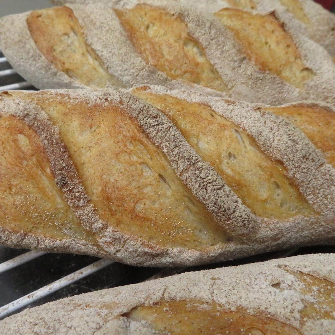 魔女菅原のグルメインスタ