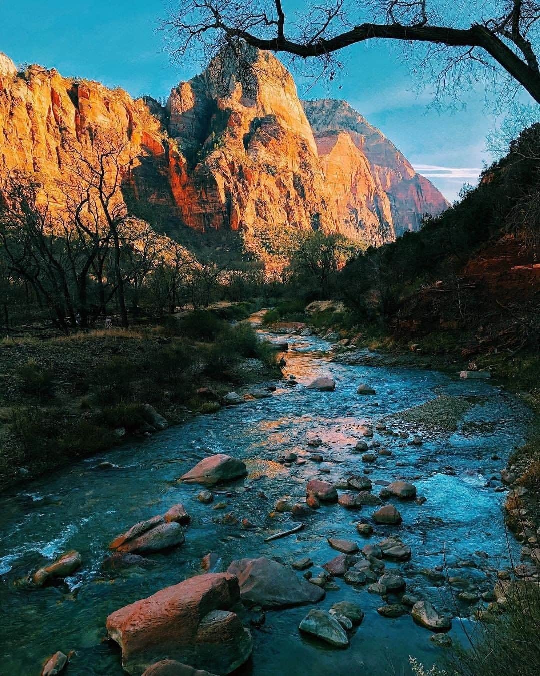 REIさんのインスタグラム写真 - (REIInstagram)「The Virgin River and tributaries run through @zionnps, removing around 1 million tons of sediment each year. What that means: The canyon widens and the channel deepens every day. #NationalParkWeek  Photo: @timid.traveler in Zion National Park, #Utah. #OptOutside」4月26日 3時01分 - rei