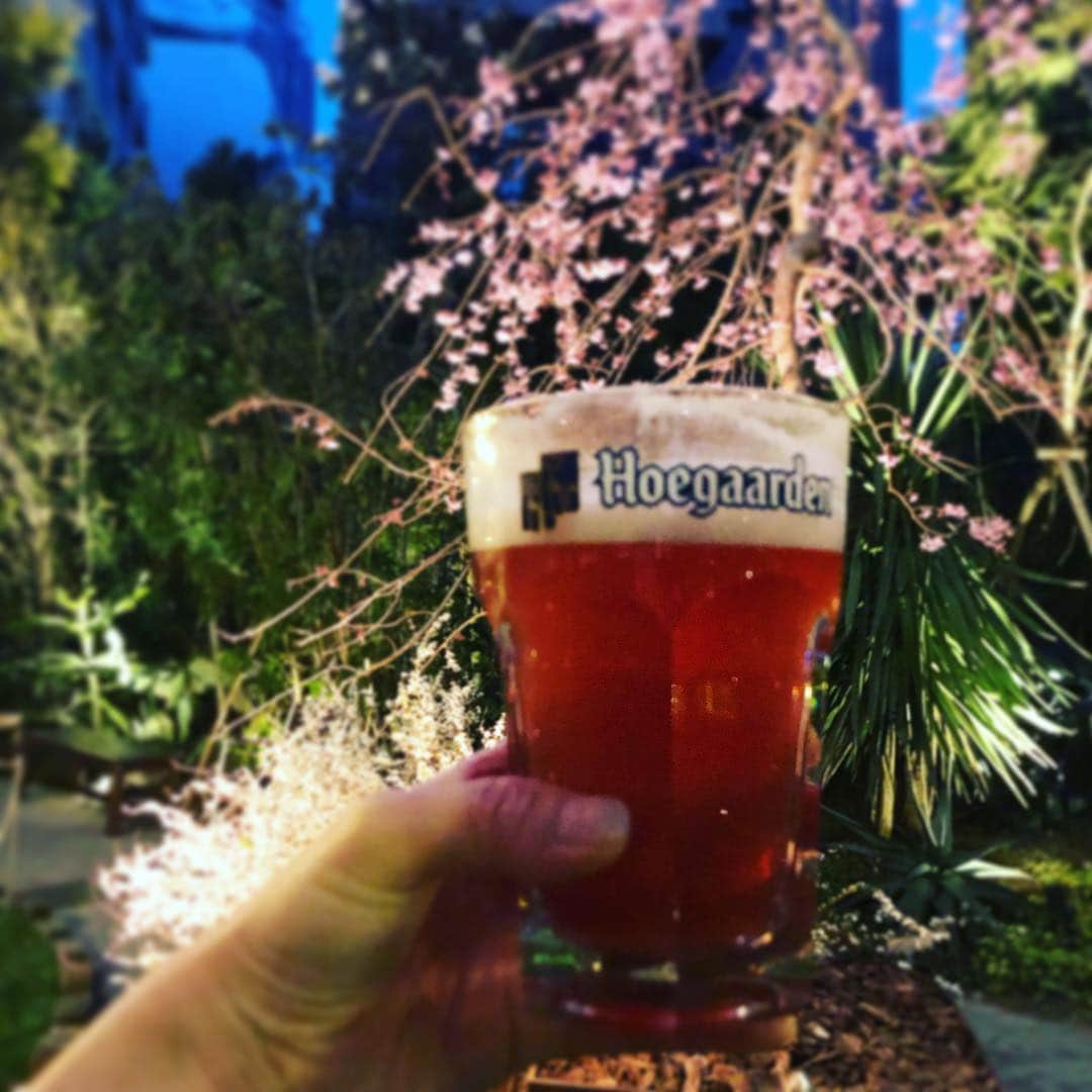 team_omotesandoのグルメインスタ