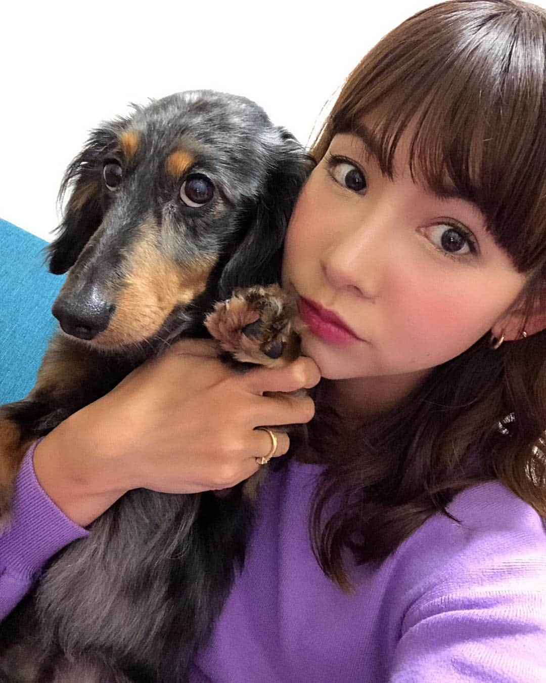 阪本智子さんのインスタグラム写真 - (阪本智子Instagram)「🐶♡ インスタライブを見て下さった皆さん ありがとうございました😆✨ ウォルトも初出演でした💜 見返すと可愛いなぁ😂💕#親バカ ＊ 31歳初フィッシュ釣れるかな、、😂✨ 行ってきますっ!!🐟🐟🐟 ＊ #dog #dogsofinstagram #miniaturedachshund #dachshund #silverdapple #walt #わんこ #愛犬 #ミニチュアダックス #ダックス #シルバーダップル #ウォルト #似てる #阪本智子」4月26日 4時27分 - tomoko_sakamoto423