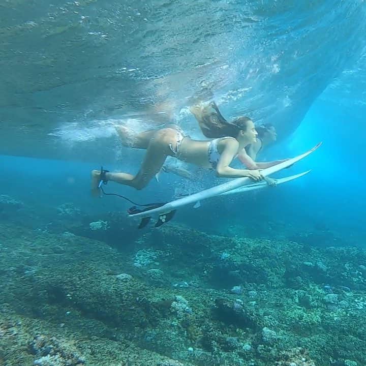 アラナ・ブランチャードのインスタグラム：「The clearest water in the world @tavaruaislandresort 🎥 @paigealms @camillebrady」