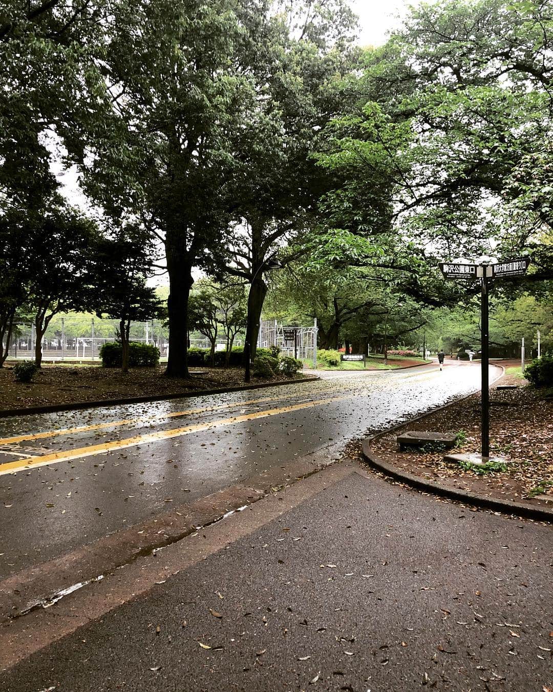 のインスタグラム：「running time #obirunning  #morning  #training」