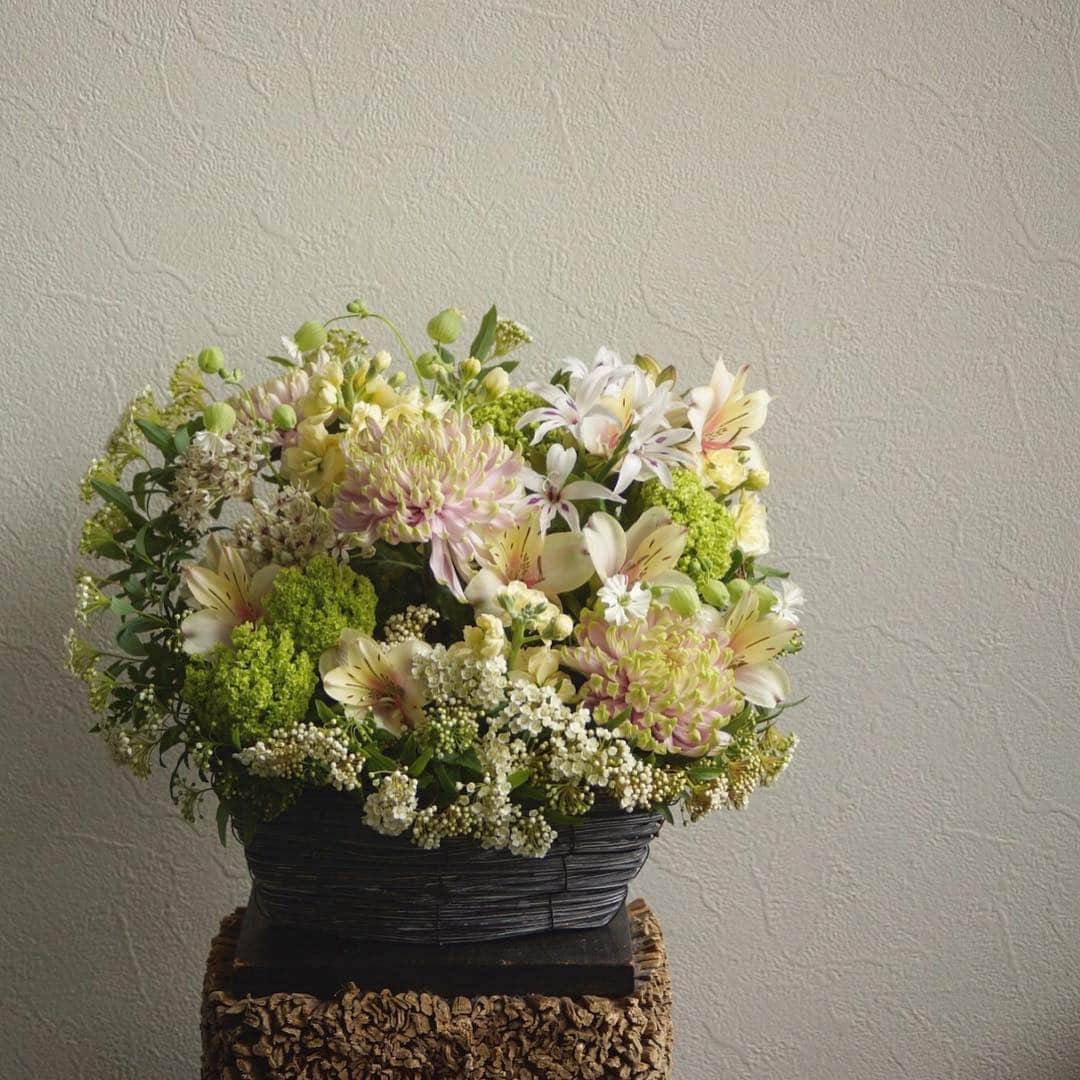 MILLE ECLAT.のグルメインスタ