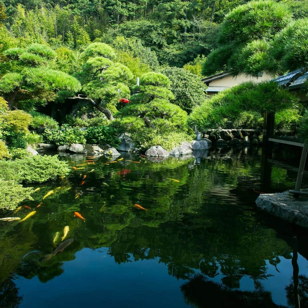 The KAMAKURA WEDDINGのグルメインスタ