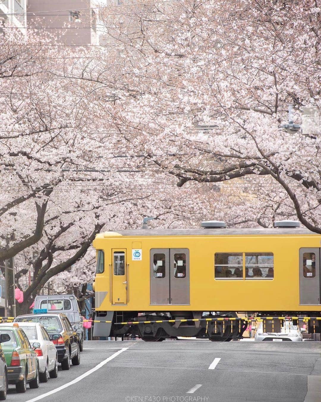 はなまっぷ❁日本の花風景さんのインスタグラム写真 - (はなまっぷ❁日本の花風景Instagram)「🍃🌸はなまっぷ平成最後の桜まつり🌸🍃 * @ken.f430 さんの 平成の桜に花まるを💮 * 平成を彩る日本の美しい桜をありがとうございます😊🌸🍃 * 見頃を過ぎている場所もご紹介しています。 お出かけの際はHP等で最新の情報をご確認くださいね🙏🌸🍃 * 🌸•••🍃•••🌸•••🍃•••🌸•••🍃•••🌸 * 🌸桜まつり概要🌸 * 期間:平成最後の日まで タグ:#はなまっぷ * #はなまっぷ  のタグの中から、桜のお写真をどんどんご紹介させていただきます。期間中はランダムに、複数枚投稿でもご紹介させていただく場合がございます。 * #桜#sakura#花見#さくら#日本#春#花#平成最後の#満開 * 🌸•••🍃•••🌸•••🍃•••🌸•••🍃•••🌸 * はなまっぷより * 💌LINEスタンプ「はなまっぷちゃん」絶賛発売中！みなさんのLINEにも花まるを💮 💌はなまっぷ本、Amazonや全国の書店さんで満開です！ぜひお手にとっていただけると嬉しいです🌸 * LINEスタンプ、はなまっぷ本は、プロフ欄記載のTwitterアカウントよりご確認ください。 * 🌸•••🍃•••🌸•••🍃•••🌸•••🍃•••🌸 *」4月26日 7時53分 - hanamap