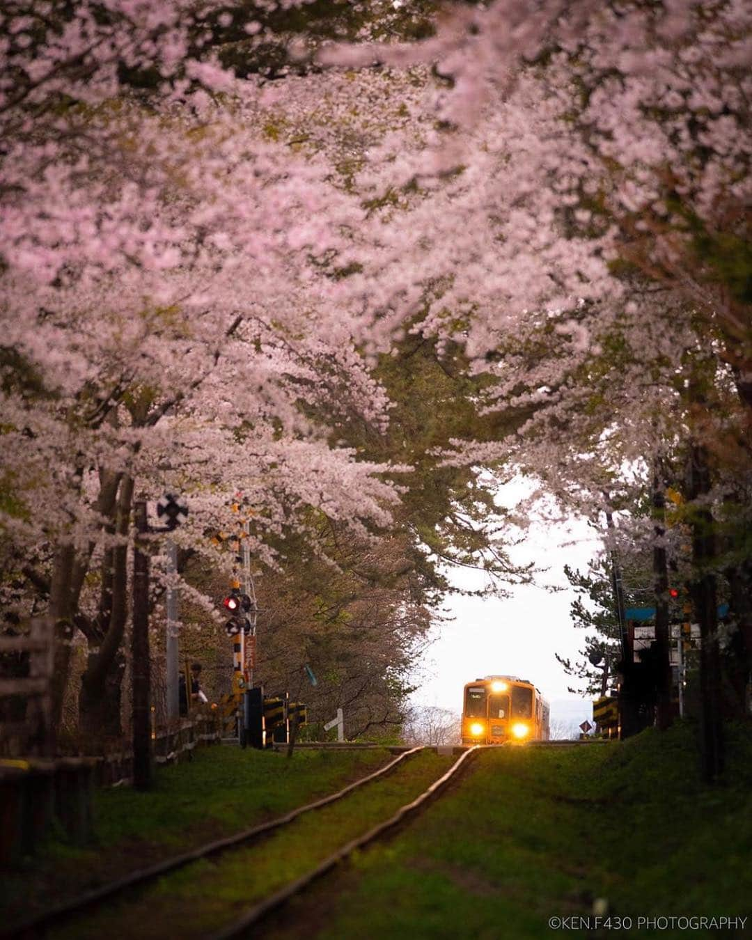 はなまっぷ❁日本の花風景さんのインスタグラム写真 - (はなまっぷ❁日本の花風景Instagram)「🍃🌸はなまっぷ平成最後の桜まつり🌸🍃 * @ken.f430 さんの 平成の桜に花まるを💮 * 平成を彩る日本の美しい桜をありがとうございます😊🌸🍃 * 見頃を過ぎている場所もご紹介しています。 お出かけの際はHP等で最新の情報をご確認くださいね🙏🌸🍃 * 🌸•••🍃•••🌸•••🍃•••🌸•••🍃•••🌸 * 🌸桜まつり概要🌸 * 期間:平成最後の日まで タグ:#はなまっぷ * #はなまっぷ  のタグの中から、桜のお写真をどんどんご紹介させていただきます。期間中はランダムに、複数枚投稿でもご紹介させていただく場合がございます。 * #桜#sakura#花見#さくら#日本#春#花#平成最後の#満開 * 🌸•••🍃•••🌸•••🍃•••🌸•••🍃•••🌸 * はなまっぷより * 💌LINEスタンプ「はなまっぷちゃん」絶賛発売中！みなさんのLINEにも花まるを💮 💌はなまっぷ本、Amazonや全国の書店さんで満開です！ぜひお手にとっていただけると嬉しいです🌸 * LINEスタンプ、はなまっぷ本は、プロフ欄記載のTwitterアカウントよりご確認ください。 * 🌸•••🍃•••🌸•••🍃•••🌸•••🍃•••🌸 *」4月26日 7時53分 - hanamap