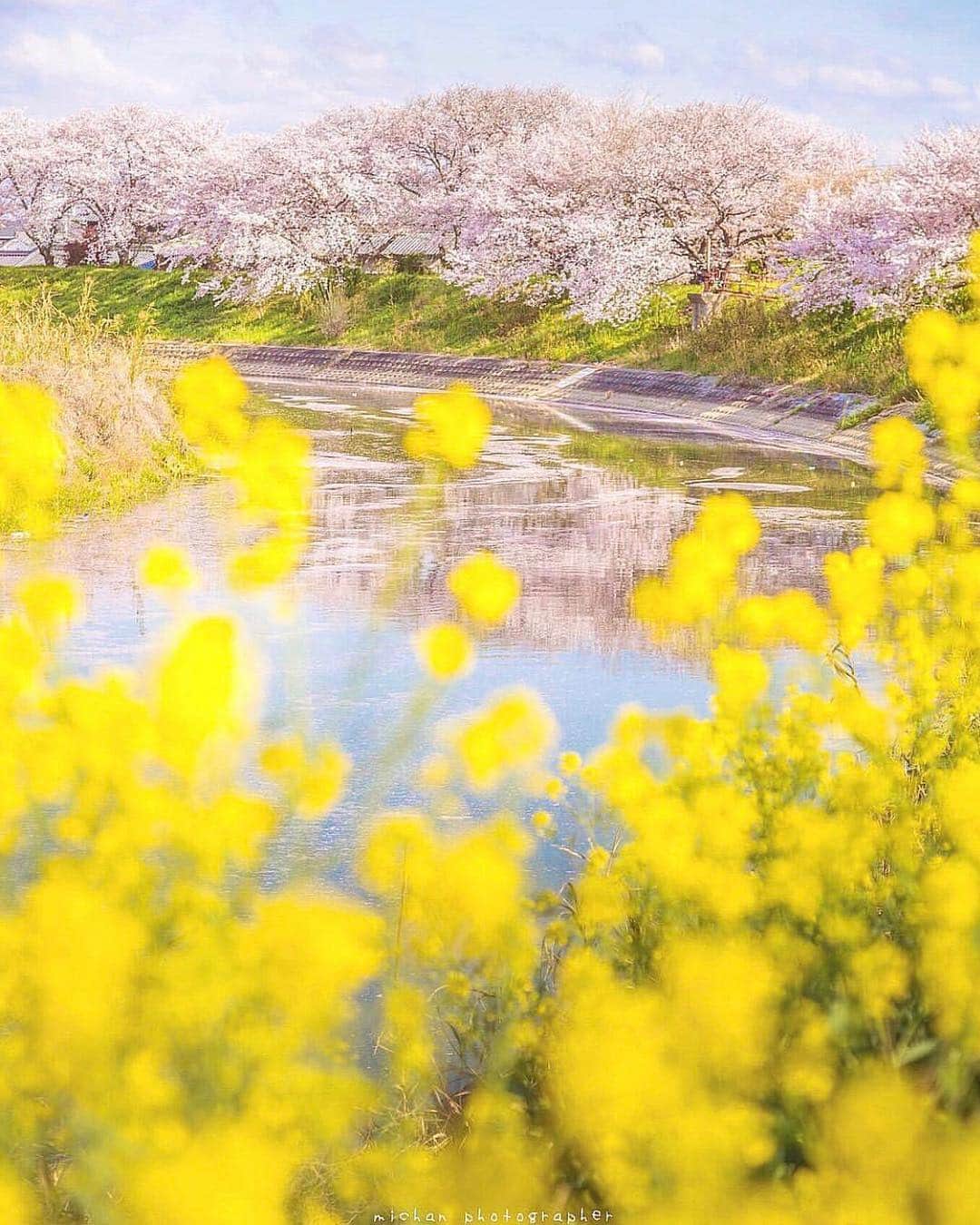 はなまっぷ❁日本の花風景さんのインスタグラム写真 - (はなまっぷ❁日本の花風景Instagram)「🍃🌸はなまっぷ平成最後の桜まつり🌸🍃 * @michan5d3 さんの 平成の桜に花まるを💮 * 平成を彩る日本の美しい桜をありがとうございます😊🌸🍃 * 見頃を過ぎている場所もご紹介しています。 お出かけの際はHP等で最新の情報をご確認くださいね🙏🌸🍃 * 🌸•••🍃•••🌸•••🍃•••🌸•••🍃•••🌸 * 🌸桜まつり概要🌸 * 期間:平成最後の日まで タグ:#はなまっぷ * #はなまっぷ  のタグの中から、桜のお写真をどんどんご紹介させていただきます。期間中はランダムに、複数枚投稿でもご紹介させていただく場合がございます。 * #桜#sakura#花見#さくら#日本#春#花#平成最後の#満開 * 🌸•••🍃•••🌸•••🍃•••🌸•••🍃•••🌸 * はなまっぷより * 💌LINEスタンプ「はなまっぷちゃん」絶賛発売中！みなさんのLINEにも花まるを💮 💌はなまっぷ本、Amazonや全国の書店さんで満開です！ぜひお手にとっていただけると嬉しいです🌸 * LINEスタンプ、はなまっぷ本は、プロフ欄記載のTwitterアカウントよりご確認ください。 * 🌸•••🍃•••🌸•••🍃•••🌸•••🍃•••🌸 *」4月26日 8時20分 - hanamap