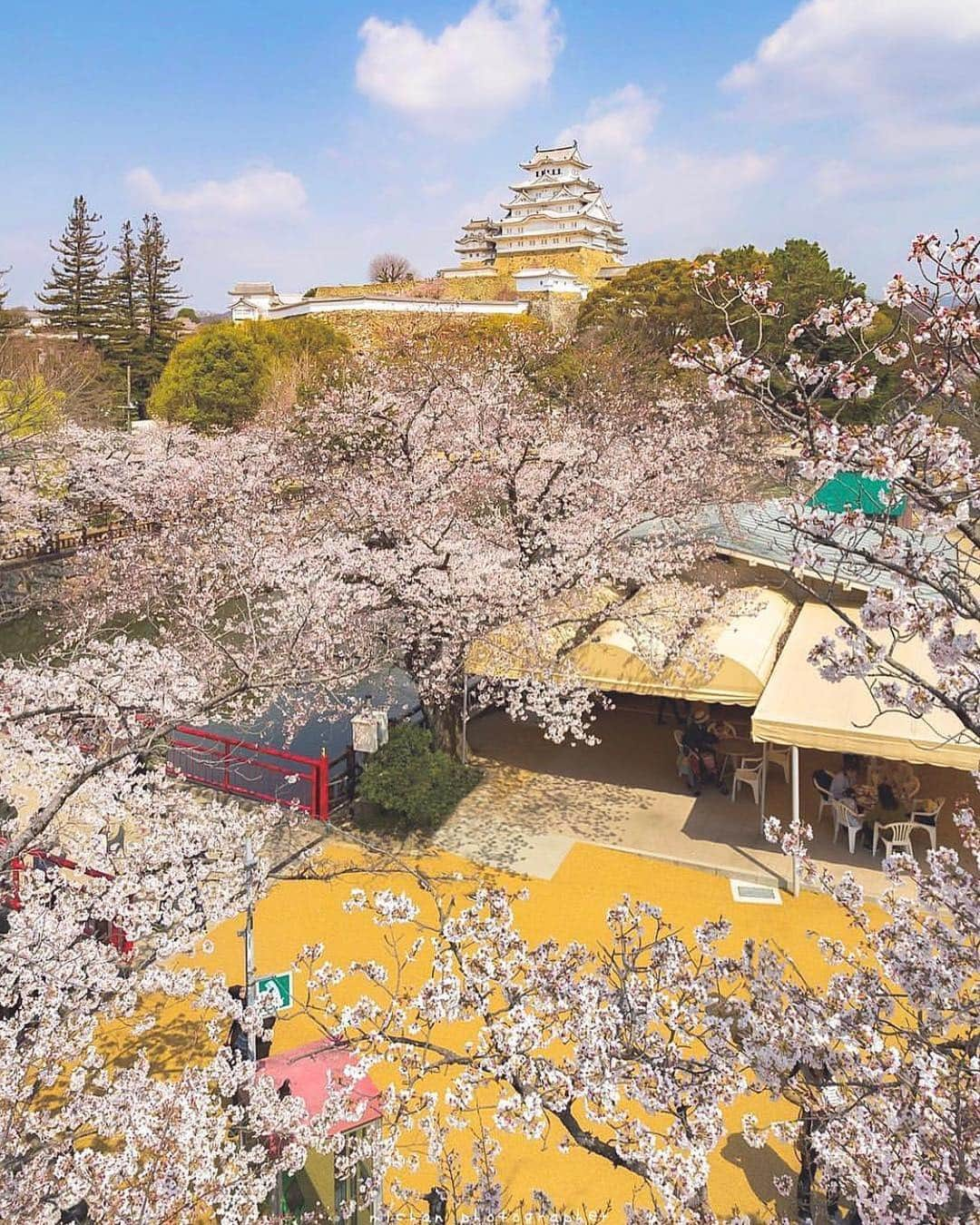 はなまっぷ❁日本の花風景さんのインスタグラム写真 - (はなまっぷ❁日本の花風景Instagram)「🍃🌸はなまっぷ平成最後の桜まつり🌸🍃 * @michan5d3 さんの 平成の桜に花まるを💮 * 平成を彩る日本の美しい桜をありがとうございます😊🌸🍃 * 見頃を過ぎている場所もご紹介しています。 お出かけの際はHP等で最新の情報をご確認くださいね🙏🌸🍃 * 🌸•••🍃•••🌸•••🍃•••🌸•••🍃•••🌸 * 🌸桜まつり概要🌸 * 期間:平成最後の日まで タグ:#はなまっぷ * #はなまっぷ  のタグの中から、桜のお写真をどんどんご紹介させていただきます。期間中はランダムに、複数枚投稿でもご紹介させていただく場合がございます。 * #桜#sakura#花見#さくら#日本#春#花#平成最後の#満開 * 🌸•••🍃•••🌸•••🍃•••🌸•••🍃•••🌸 * はなまっぷより * 💌LINEスタンプ「はなまっぷちゃん」絶賛発売中！みなさんのLINEにも花まるを💮 💌はなまっぷ本、Amazonや全国の書店さんで満開です！ぜひお手にとっていただけると嬉しいです🌸 * LINEスタンプ、はなまっぷ本は、プロフ欄記載のTwitterアカウントよりご確認ください。 * 🌸•••🍃•••🌸•••🍃•••🌸•••🍃•••🌸 *」4月26日 8時20分 - hanamap