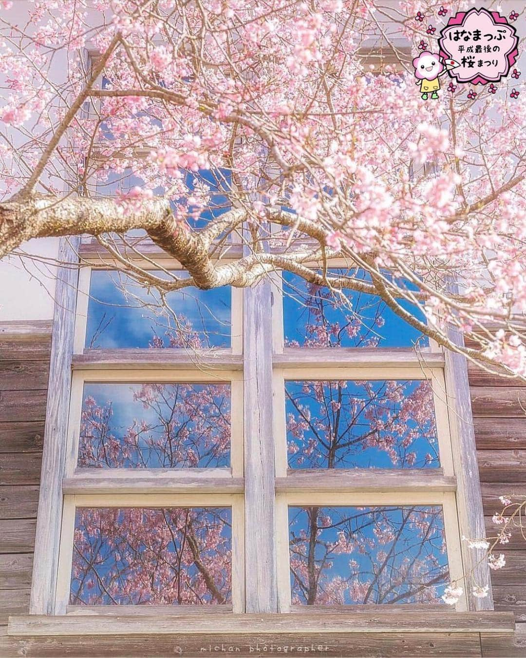 はなまっぷ❁日本の花風景さんのインスタグラム写真 - (はなまっぷ❁日本の花風景Instagram)「🍃🌸はなまっぷ平成最後の桜まつり🌸🍃 * @michan5d3 さんの 平成の桜に花まるを💮 * 平成を彩る日本の美しい桜をありがとうございます😊🌸🍃 * 見頃を過ぎている場所もご紹介しています。 お出かけの際はHP等で最新の情報をご確認くださいね🙏🌸🍃 * 🌸•••🍃•••🌸•••🍃•••🌸•••🍃•••🌸 * 🌸桜まつり概要🌸 * 期間:平成最後の日まで タグ:#はなまっぷ * #はなまっぷ  のタグの中から、桜のお写真をどんどんご紹介させていただきます。期間中はランダムに、複数枚投稿でもご紹介させていただく場合がございます。 * #桜#sakura#花見#さくら#日本#春#花#平成最後の#満開 * 🌸•••🍃•••🌸•••🍃•••🌸•••🍃•••🌸 * はなまっぷより * 💌LINEスタンプ「はなまっぷちゃん」絶賛発売中！みなさんのLINEにも花まるを💮 💌はなまっぷ本、Amazonや全国の書店さんで満開です！ぜひお手にとっていただけると嬉しいです🌸 * LINEスタンプ、はなまっぷ本は、プロフ欄記載のTwitterアカウントよりご確認ください。 * 🌸•••🍃•••🌸•••🍃•••🌸•••🍃•••🌸 *」4月26日 8時20分 - hanamap