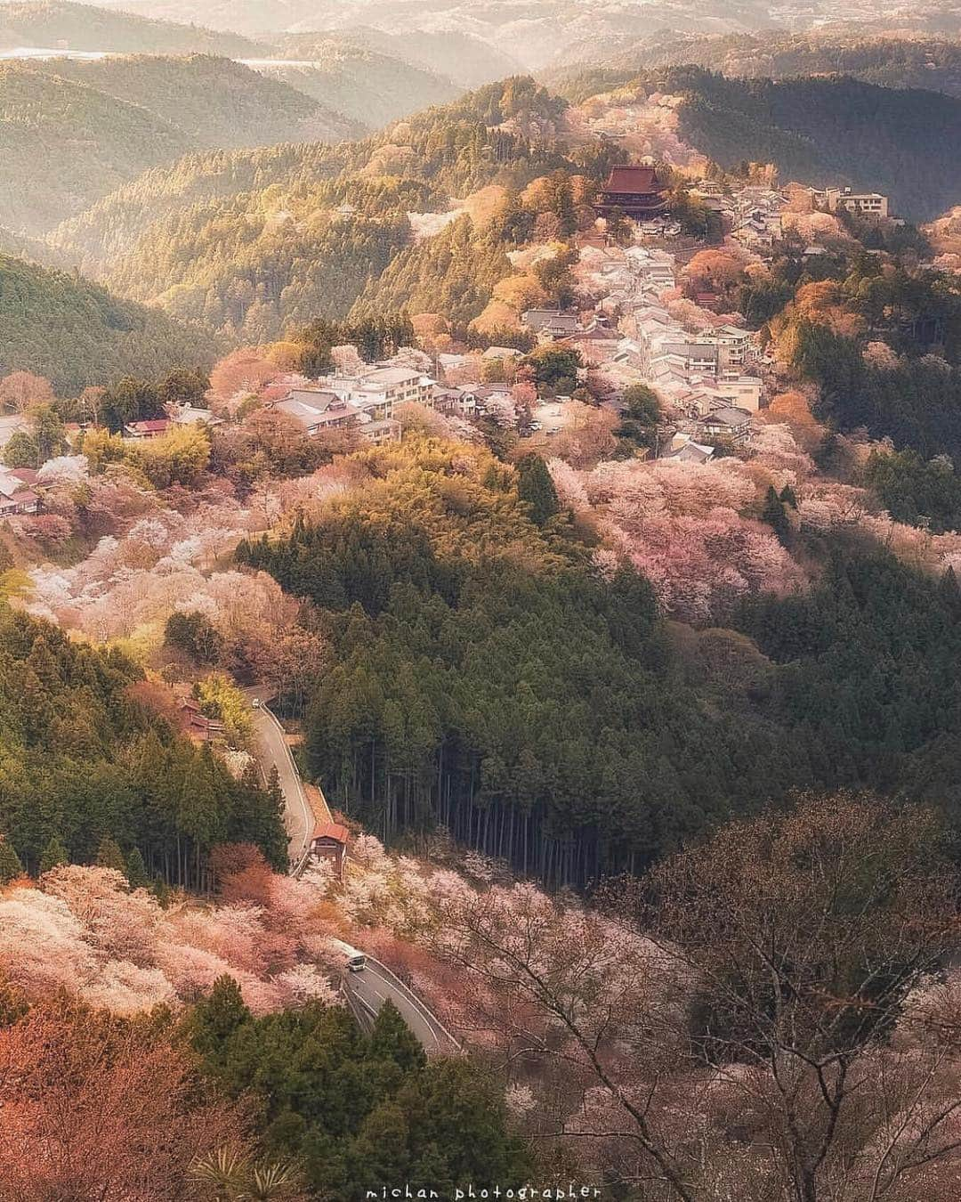 はなまっぷ❁日本の花風景さんのインスタグラム写真 - (はなまっぷ❁日本の花風景Instagram)「🍃🌸はなまっぷ平成最後の桜まつり🌸🍃 * @michan5d3 さんの 平成の桜に花まるを💮 * 平成を彩る日本の美しい桜をありがとうございます😊🌸🍃 * 見頃を過ぎている場所もご紹介しています。 お出かけの際はHP等で最新の情報をご確認くださいね🙏🌸🍃 * 🌸•••🍃•••🌸•••🍃•••🌸•••🍃•••🌸 * 🌸桜まつり概要🌸 * 期間:平成最後の日まで タグ:#はなまっぷ * #はなまっぷ  のタグの中から、桜のお写真をどんどんご紹介させていただきます。期間中はランダムに、複数枚投稿でもご紹介させていただく場合がございます。 * #桜#sakura#花見#さくら#日本#春#花#平成最後の#満開 * 🌸•••🍃•••🌸•••🍃•••🌸•••🍃•••🌸 * はなまっぷより * 💌LINEスタンプ「はなまっぷちゃん」絶賛発売中！みなさんのLINEにも花まるを💮 💌はなまっぷ本、Amazonや全国の書店さんで満開です！ぜひお手にとっていただけると嬉しいです🌸 * LINEスタンプ、はなまっぷ本は、プロフ欄記載のTwitterアカウントよりご確認ください。 * 🌸•••🍃•••🌸•••🍃•••🌸•••🍃•••🌸 *」4月26日 8時20分 - hanamap