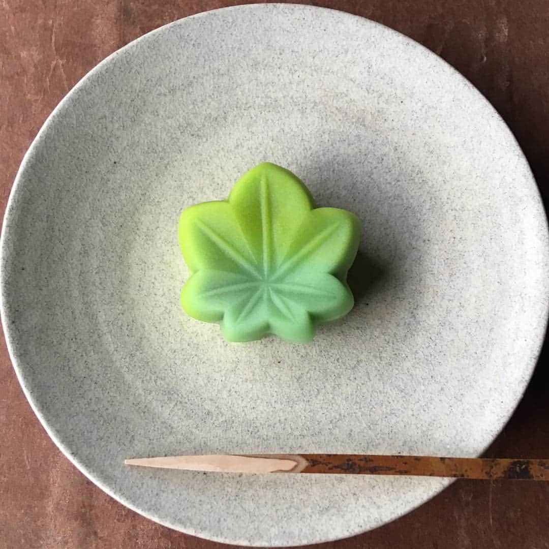 一保堂茶舗さんのインスタグラム写真 - (一保堂茶舗Instagram)「The season is changing. #ippodotea #teatime #wagashi #confectionery #kyoto #green #一保堂茶舗 #京都 #青楓」4月26日 8時25分 - ippodotea