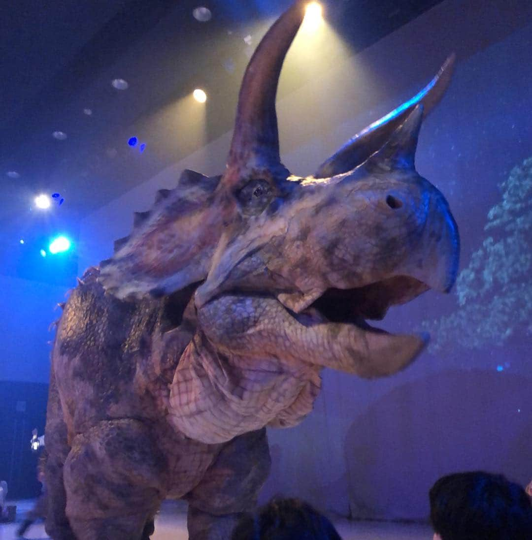 時東ぁみさんのインスタグラム写真 - (時東ぁみInstagram)「恐竜好き集まれー🦖 ・ 今年もディノサファリ行ってきたー☆ しかも、第一回の公演！！ ・ 去年と比べて、めちゃくちゃレベル上がってた！ 充分かっこよかったのに益々迫力満点に！ 友達食われたし！！w ・ ナイトメアの公演も絶対行くー！！ 誰か一緒に行こう🦖 ・ #時東ぁみ #ディノサファリ #恐竜 #恐竜ライブ #dinosaur #dinosafari #dinosaurlive #渋谷 #shibuya #ヒカリエ #渋谷ヒカリエ #迫力満点 #最高 #おもしろい #🦖 #🦕 #ティラノサウルス #トリケラトプス #tyrannosaurus #triceratops #恐竜好き #恐竜好き女子 #ナイトメア #見たい #gw #ゴールデンウィーク #大型連休 #友達 #食われた」4月26日 8時45分 - amitokito