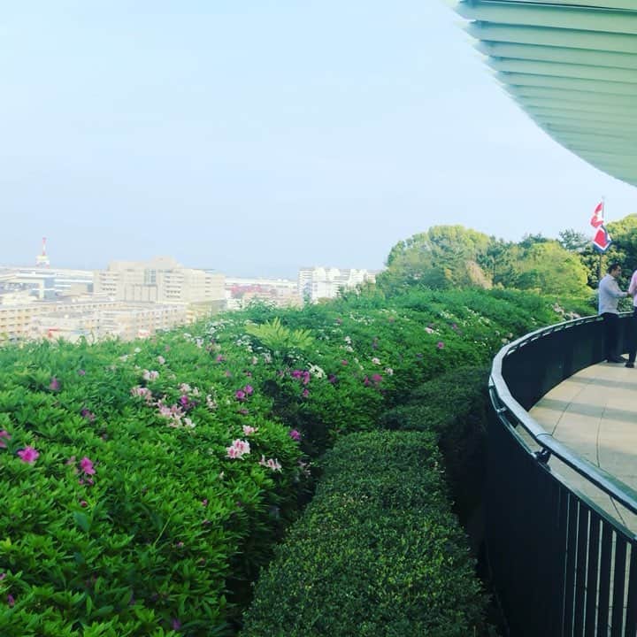 のインスタグラム：「たまに横浜も良いね。 #横浜元町  #海の見える丘公園  #yokohama  #港  #夜景の見えるレストラン  を予約したので、次は #ディナー で楽しもう」