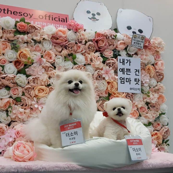 thesoy_yoonsoのインスタグラム