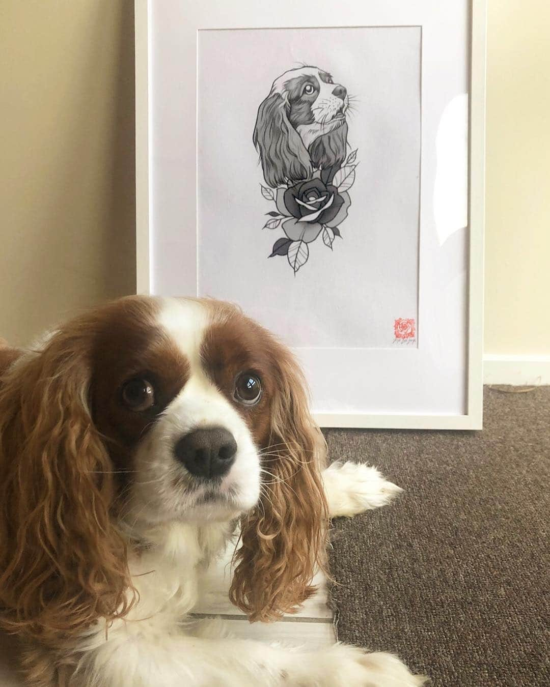 Rik Leeさんのインスタグラム写真 - (Rik LeeInstagram)「Portrait commission of Jacko. Swipe left to see  What Jacko thought of his portrait - Is he impressed? Unimpressed? Indifferent? Hungry and looking forward to nap time? I think he just looks slightly unsure. But incredibly cute. . #riklee #commission #drawing #portrait #illustration #sketch #dogsofinstagram #dog #puppy #tattoo #rose #art」4月26日 9時54分 - rikleeillustration