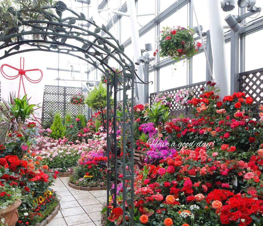 雑誌『花時間』のグルメインスタ