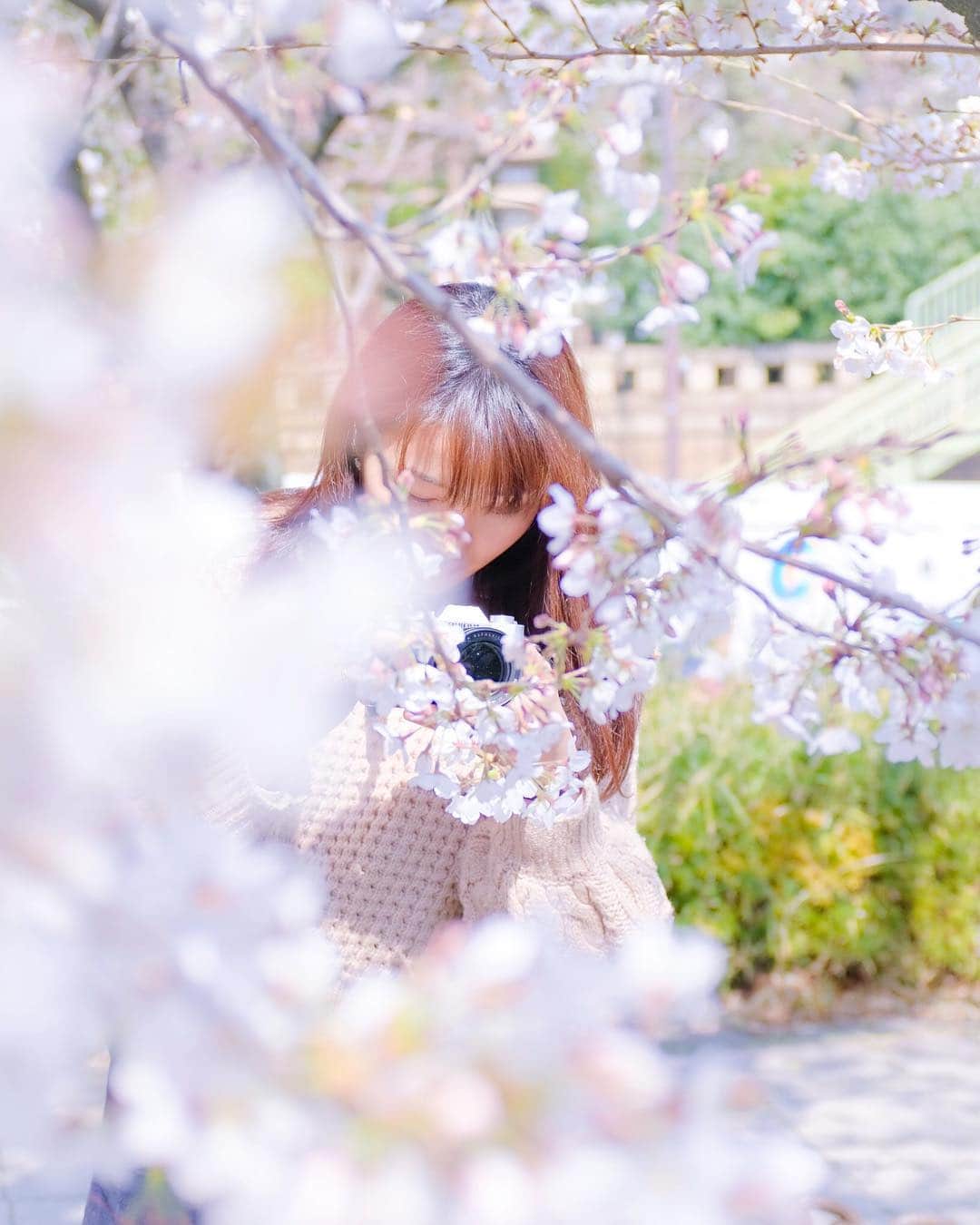 むぎさんのインスタグラム写真 - (むぎInstagram)「#photography  #spring #flower」4月26日 10時21分 - mugiusagi