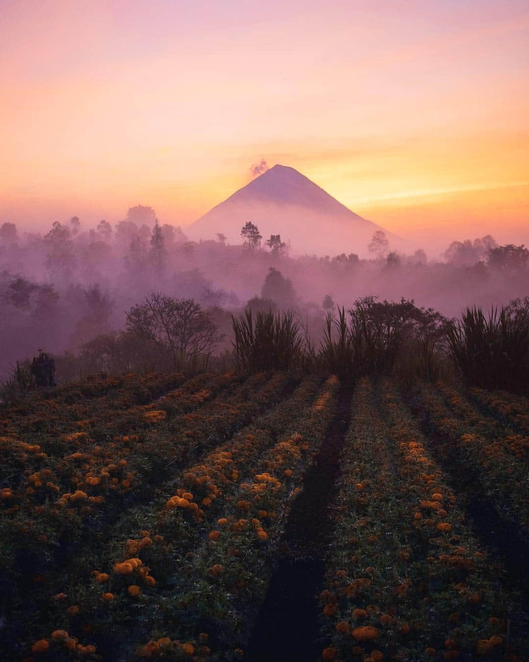 BEAUTIFUL DESTINATIONSさんのインスタグラム写真 - (BEAUTIFUL DESTINATIONSInstagram)「"It’s a nice feeling on my morning drives in Indonesia, looking to the volcanoes and being able to recall memories from the tops of them." Where do you most enjoy reminiscing about your travel experiences? (📷: @josiahwg 📍: Bali)」4月26日 21時17分 - beautifuldestinations