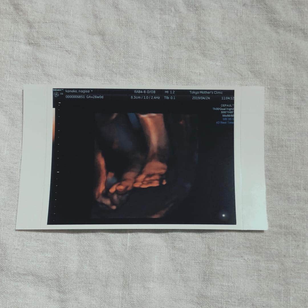金子渚さんのインスタグラム写真 - (金子渚Instagram)「baby girl 👶🏻♡ #7monthspregnant」4月26日 20時03分 - nagisakaneko