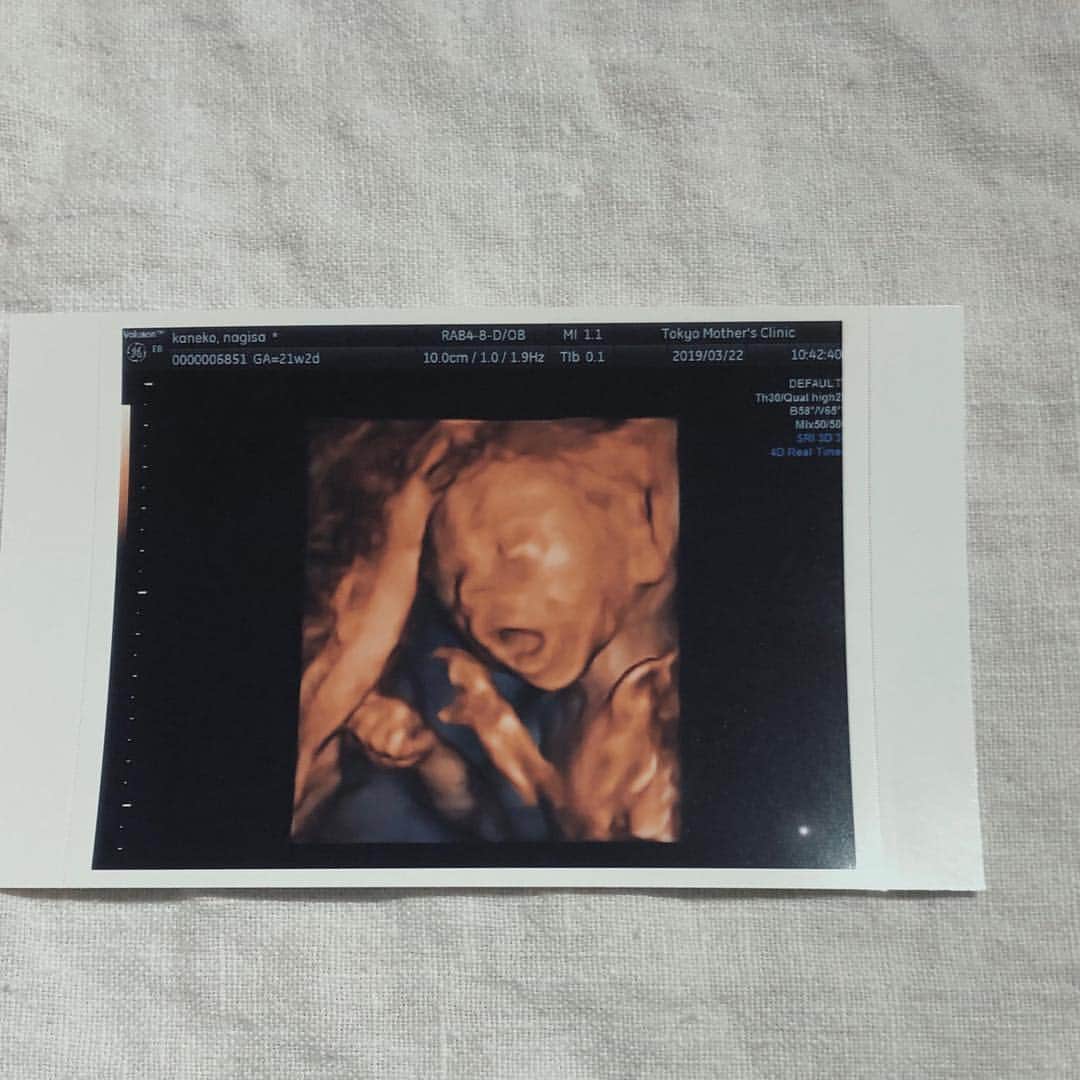金子渚さんのインスタグラム写真 - (金子渚Instagram)「baby girl 👶🏻♡ #7monthspregnant」4月26日 20時03分 - nagisakaneko