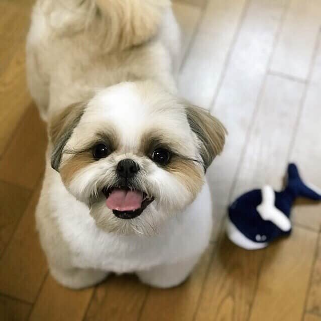 りんくのインスタグラム
