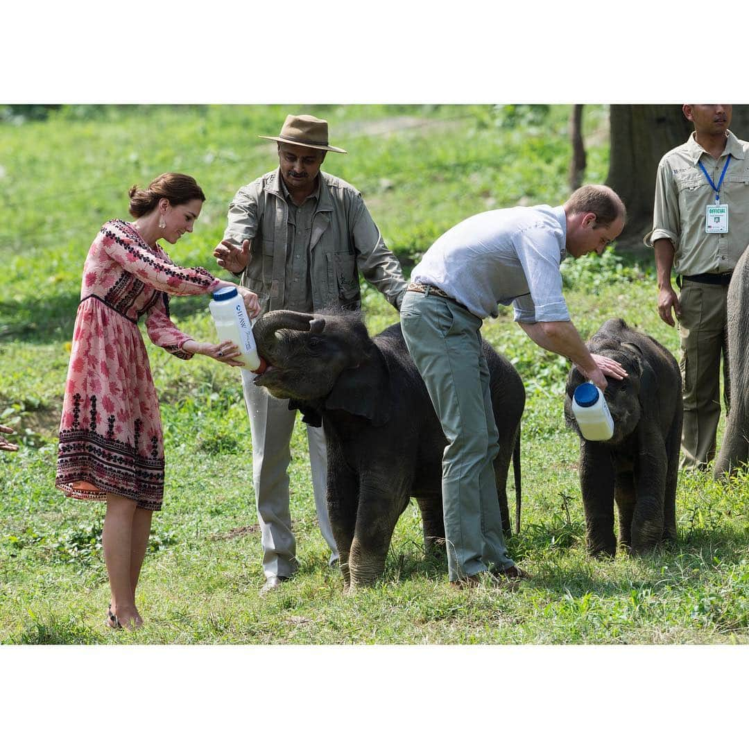 ウィリアム（ケンブリッジ公）さんのインスタグラム写真 - (ウィリアム（ケンブリッジ公）Instagram)「Today marks the 70th anniversary of the modern Commonwealth.  Her Majesty The Queen has been Head of the Commonwealth – a network of 53 countries and almost 2.4 billion people, since 1952.  The first photograph in this set was taken in Tonga in 1953 during The Queen's first Commonwealth tour as Head of the Commonwealth – visit @TheRoyalFamily to see more images from The Queen’s earliest visits around the Commonwealth. #Commowealthat70 📷PA」4月26日 20時32分 - princeandprincessofwales