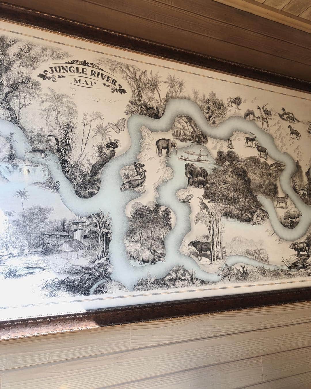 目見田早弥子のインスタグラム：「| JUNGLE CRUISE 可愛いMAP🐘🦓🦍🦛🐾 動物さんいっぱいやったね。 いっぱいバイバイしたね。」