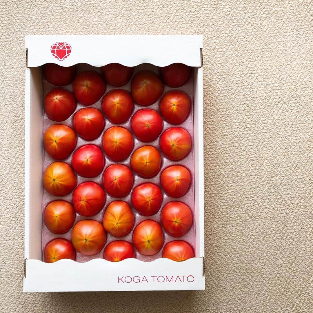 中山忍さんのインスタグラム写真 - (中山忍Instagram)「絶品トマトのお取り寄せ〜🍅 パリッとした皮がおいしくて、何と言っても瑞々しい✨ #今が旬 #お取り寄せ #古賀とまと農園  @kogatomato #佐賀」4月26日 12時25分 - _shinobu_nakayama_