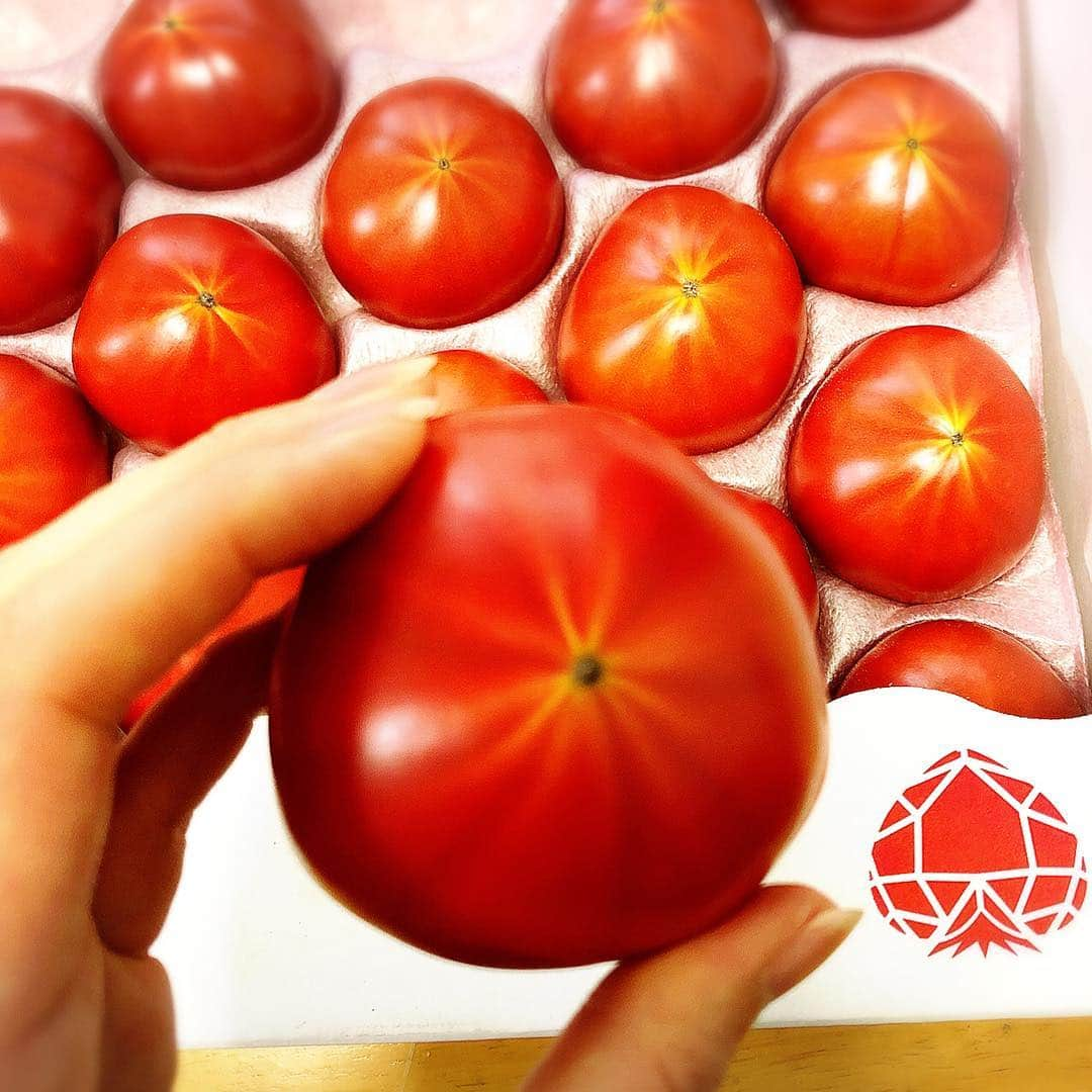 中山忍さんのインスタグラム写真 - (中山忍Instagram)「絶品トマトのお取り寄せ〜🍅 パリッとした皮がおいしくて、何と言っても瑞々しい✨ #今が旬 #お取り寄せ #古賀とまと農園  @kogatomato #佐賀」4月26日 12時25分 - _shinobu_nakayama_