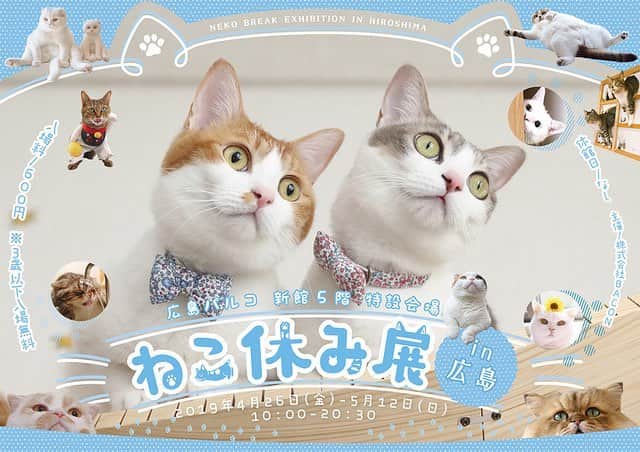 プンクマさんのインスタグラム写真 - (プンクマInstagram)「今日から広島パルコで、ねこ休み展が始まるよ。 こちらの展示は静岡とは違った展示内容となっておりますので、是非お立ち寄り下さい。 #ねこ休み展 #薔薇の森の猫達 #cat #neko #catstagram #catsofinstagram」4月26日 12時23分 - pnkm913