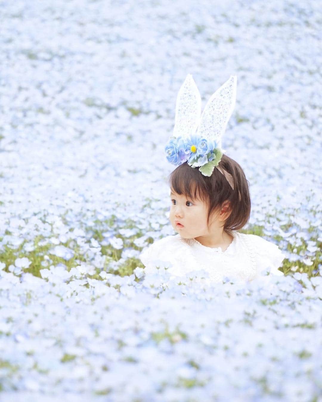 のインスタグラム：「今週もお疲れさまでした😊 現在、「春」をテーマにお写真・動画を募集中です✨ 本日の #タビスルキッズ はこちら💕 📷 @ak_sayu.78さん 🚩岐阜県・可児市「花フェスタ記念公園」 🎙ご本人コメント(一部抜粋) ♡ᵕ̈ ネモフィラ畑に ぴょこん🐰💕🦋 * * お写真のうさみみ 今回はハンドメイドしてみました🐰👑 ちょっと大きくなりすぎたけど、 ブルーの色味がネモフィラと合ってて お気に入り🙈🦋💕 ﻿﻿﻿﻿＊＊＊＊＊＊ 「うさみみ」ハンドメイドなんですね✨ カワイイお写真ありがとうございます」