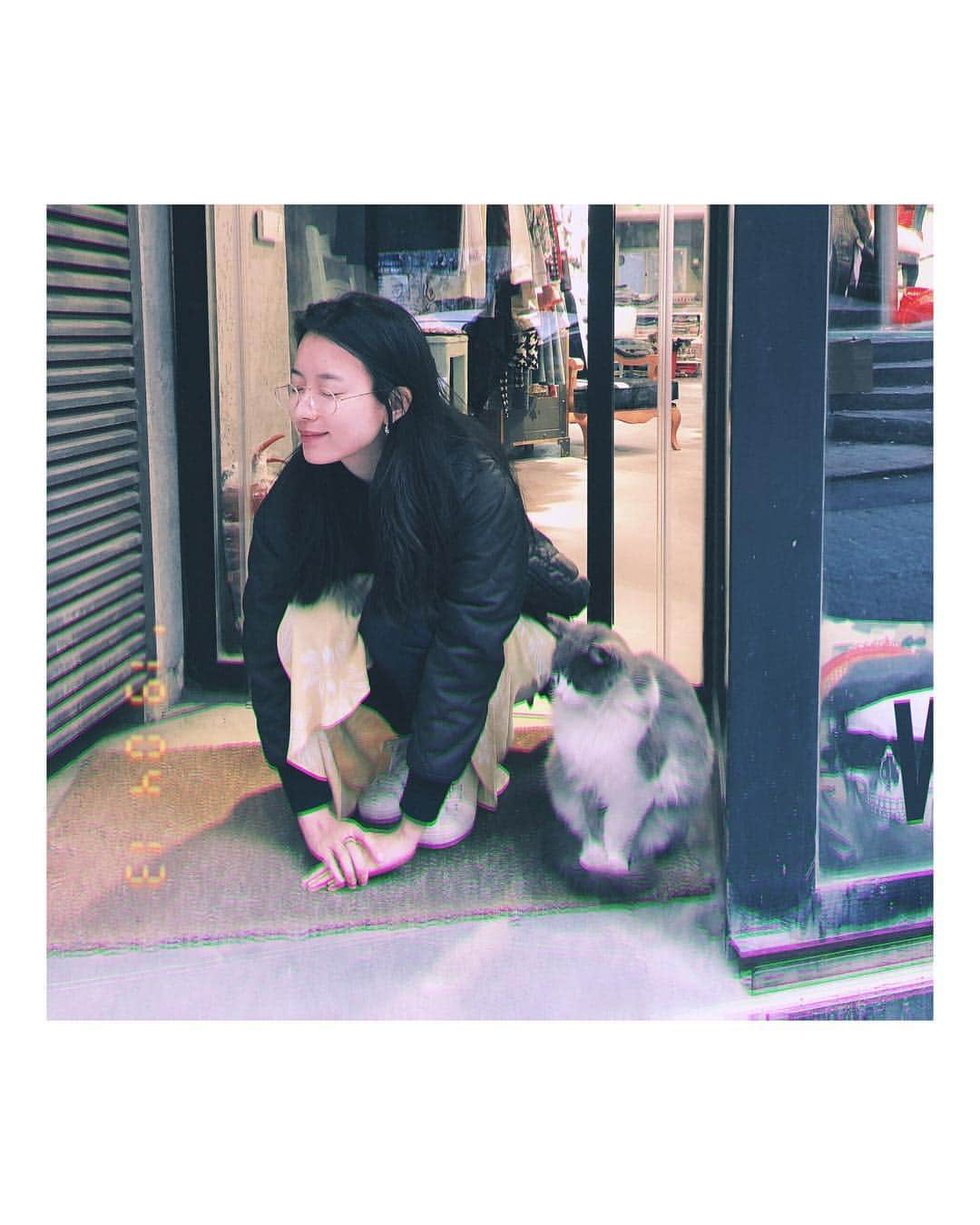 ハン・ヒョジュさんのインスタグラム写真 - (ハン・ヒョジュInstagram)「🐈 🐶」4月26日 14時45分 - hanhyojoo222