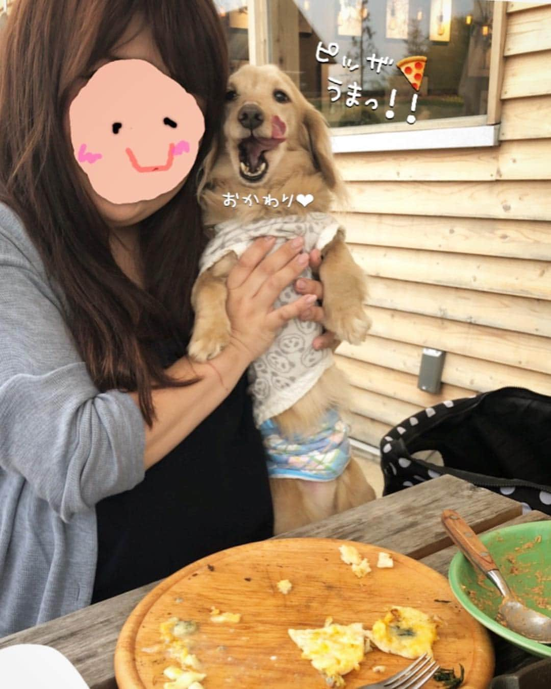 チズさんのインスタグラム写真 - (チズInstagram)「道の駅のレストラン🍴 わんこ🐶連れもいっぱい❤️ マロにも🍕 ちょっぴりおそそわけ🙄 #フルーツフラワーパーク #おでかけ#タダスポ 💰 #道の駅#デイズキッチン  #足湯#ドッグラン #🌷#🐕#🍝 #Mダックス #MiniatureDachshund #ミニチュアダックス #ミニチュアダックスフンド #ミニチュアダックスクリーム #カニンヘンクリーム #カニンヘンダックス#ダックス13歳 #カニンヘンダックスフンド #犬なしでは生きていけません#愛しのわんこ #癒し犬 #愛犬バカ #関西ダックス#短足犬 #短足部 #シニア犬#親父犬#犬は家族 #インスタでわんこみるのが日課 ♡♡♡」4月26日 14時54分 - sqi.chizu