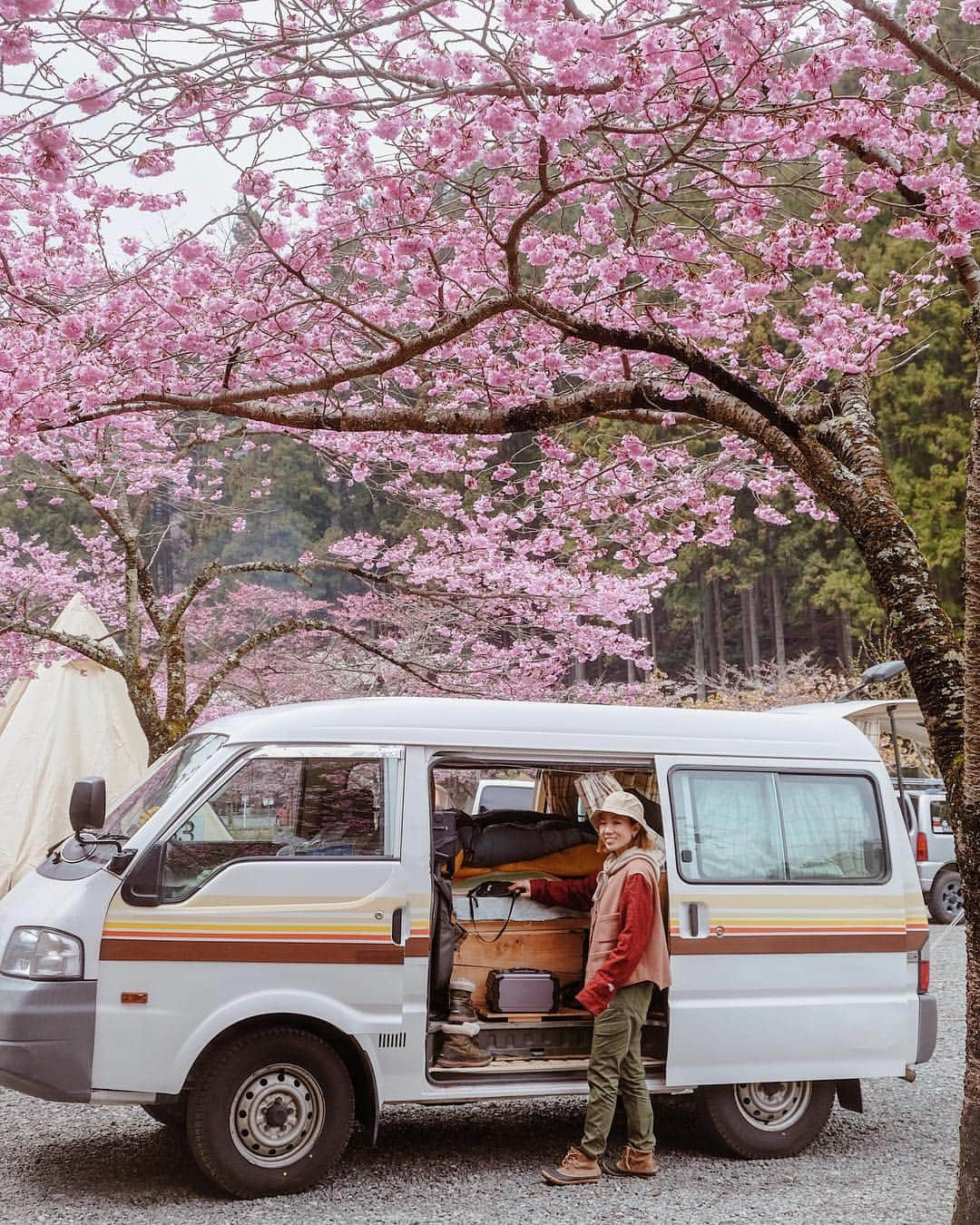 Y U R I Eさんのインスタグラム写真 - (Y U R I EInstagram)「北海道や青森までも、たくさん情報ありがとうございます📢✨🙇‍♀️めちゃくちゃ参考になる‼🥺️ 北は連休に桜の見頃を迎えるとのことで！ 岩手なうですが、東北道からも満開の桜がたくさんみえた🌸🌸🌸 今年は2度さくらを楽しめちゃうみたいです🥰 写真はたぶんオオヤマザクラ（違かったらごめんw） 濃ゆいピンクが綺麗だった！ 彩度上げたりしてないでこの色だよ🤣💕 #vanlifediaries#Vanlife#車中泊#サンシー号#旅#国内旅行#ドライブ#キャンプ#週末#ソトアソビ#オオヤマザクラ#桜#満開#さくら」4月26日 14時49分 - yuriexx67