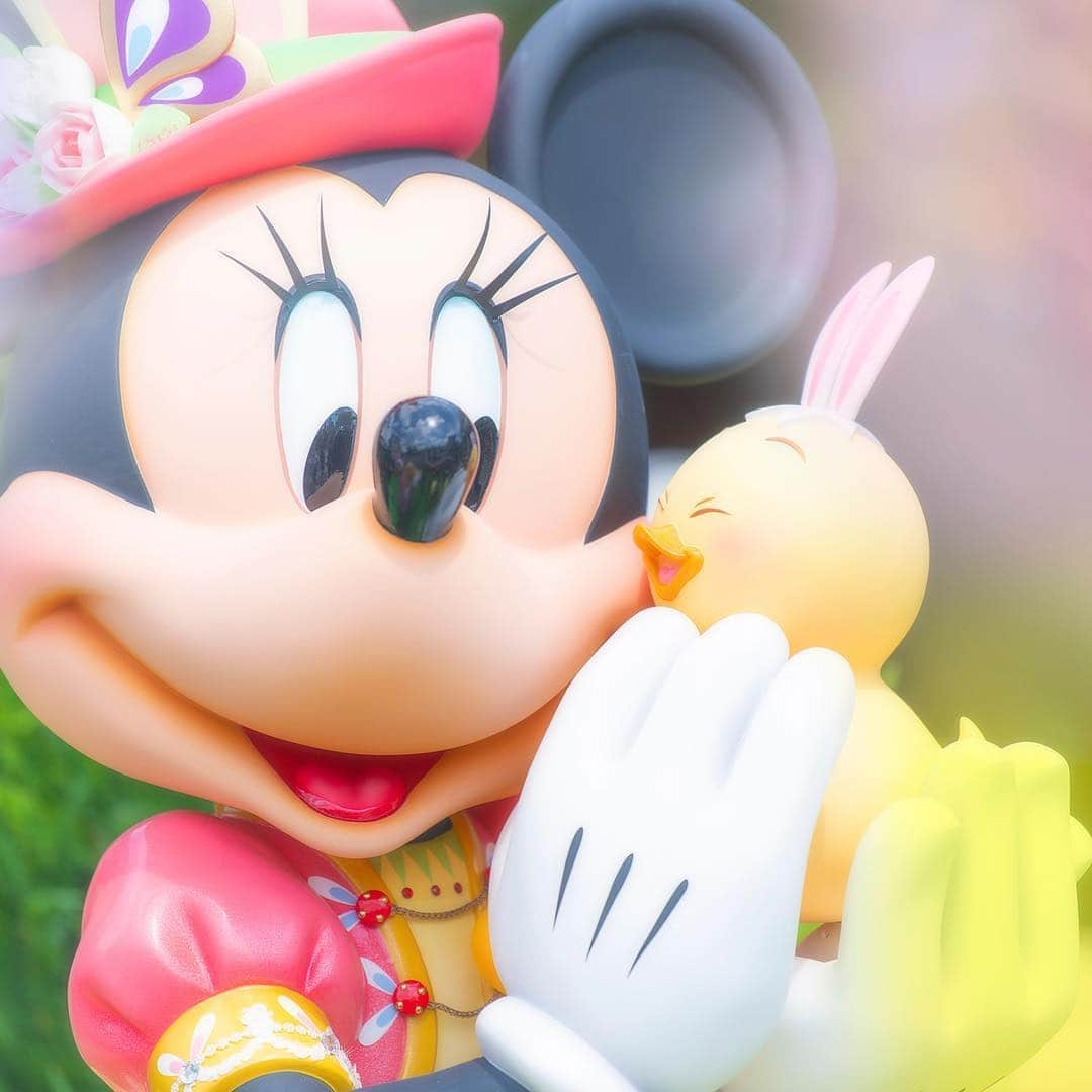 東京ディズニーリゾートさんのインスタグラム写真 - (東京ディズニーリゾートInstagram)「Minnie and Usapiyo, instant friends! すりすり♡ #disneyseaster #usapiyo #usapiyoeasterpark #americanwaterfront #tokyodisneysea #tokyodisneyresort #minnie #ディズニーイースター #うさピヨ #うさピヨイースターパーク #アメリカンウォーターフロント #東京ディズニーシー #東京ディズニーリゾート #ミニーマウス #ミニー」4月26日 15時22分 - tokyodisneyresort_official