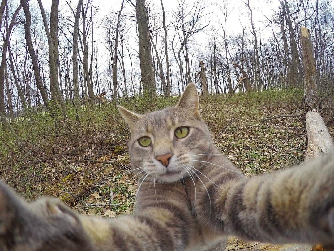 マニーのインスタグラム：「😼 1 or 2?」