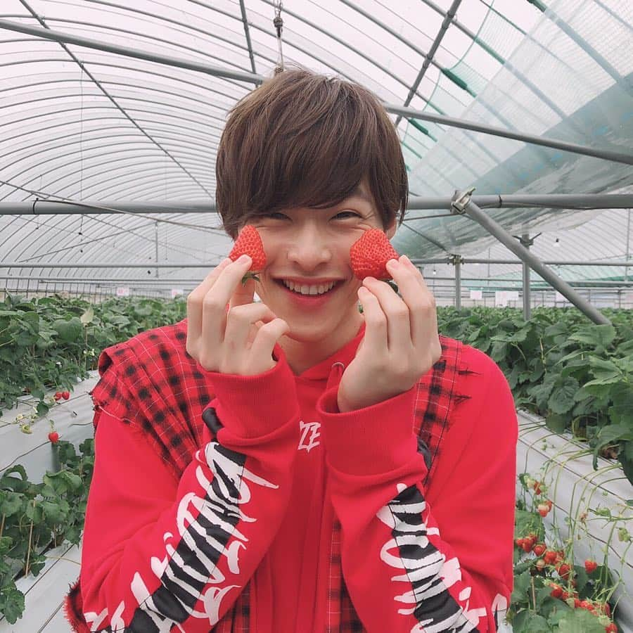 山口託矢さんのインスタグラム写真 - (山口託矢Instagram)「超絶ぶりっこ💕🍓 #世界一好きな食べ物  #いちご #strawberry #うきは」4月26日 21時22分 - taku_ya_maguchi