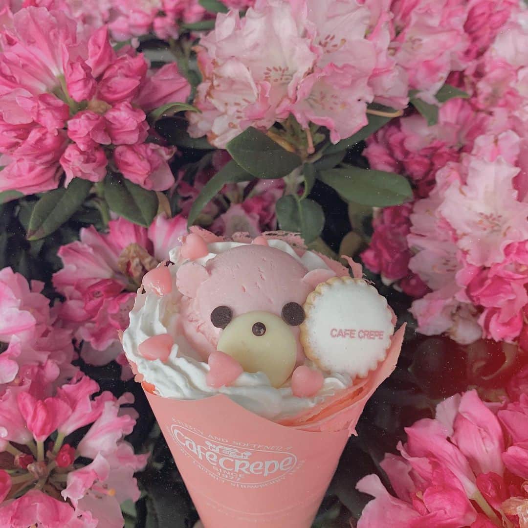 のインスタグラム：「ついにラスボス、 pinkのメリープさん登場しました🧸 いちご味だよ〜かあいいね〜！ ちなみにラフォーレ原宿店さんでは5/7〜startするみたいなので、GW中は六本木ヒルズ店で捕獲してくださいな◎ 〜・〜・〜・〜・〜・〜・〜・〜・〜・〜・〜 #merryjenny #cafecrepe #crepe #cafe #teddy #クレープ #テディ #メリープ」